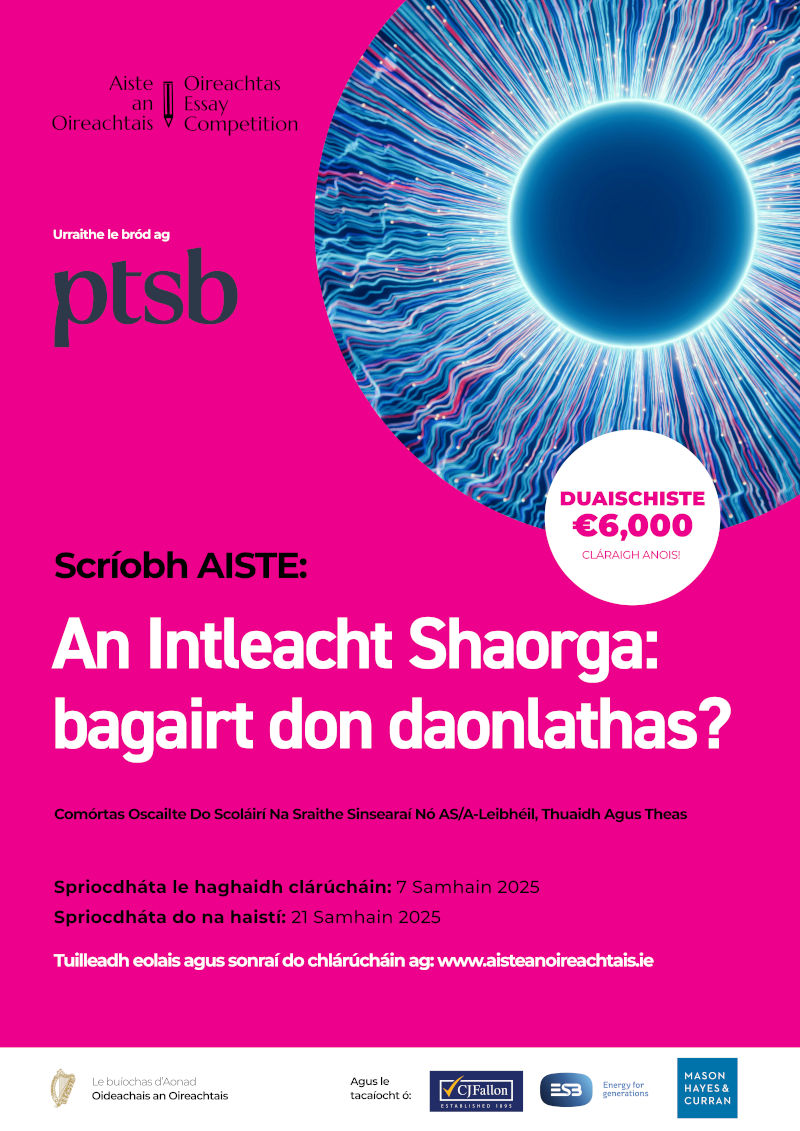 EssayComp2025-Irish